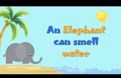 Fun Facts About Elephants